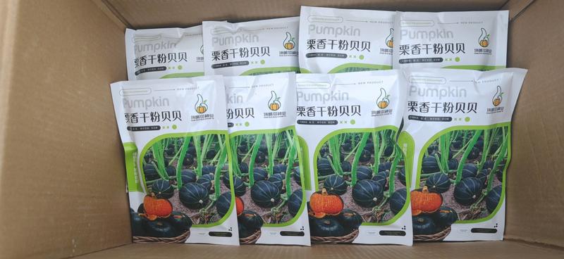 蔬菜日本贝贝南瓜种子板栗南瓜种子订单农业适合全国种植包邮