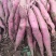 虢王红薯日挖万斤欢迎客商，电商对接