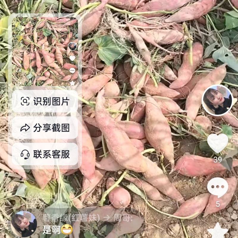 西瓜红红薯，软糯香甜