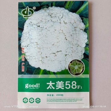 太美60花菜有机种子青梗耐热品种花球洁白太美58松花菜基