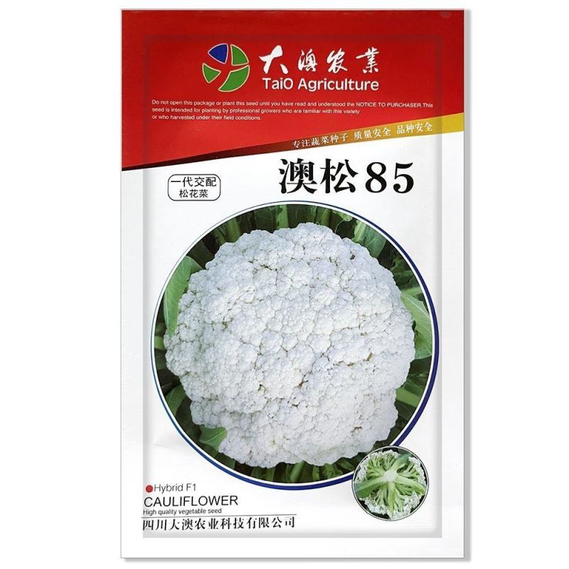 正宗松花菜种子澳门松85花四季大高产懒人春秋播种可越冬大