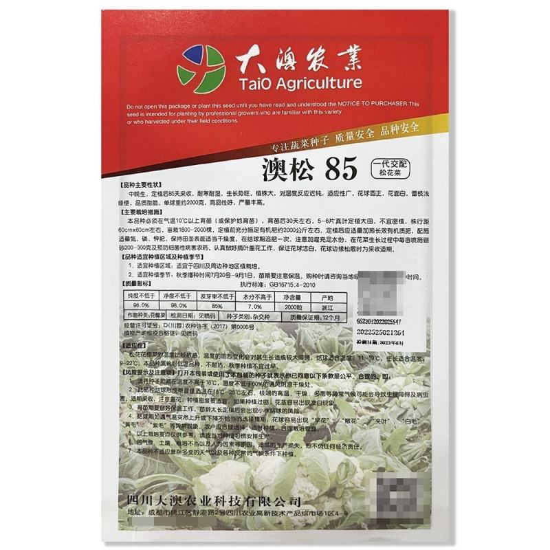 正宗松花菜种子澳门松85花四季大高产懒人春秋播种可越冬大