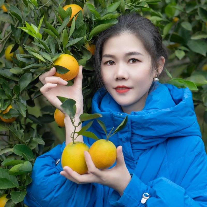 永兴冰糖橙甜如初恋，自产自销