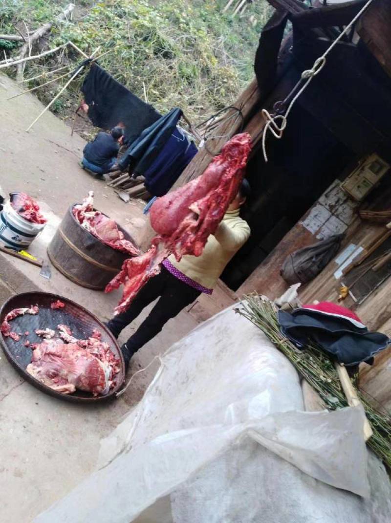 农家鲜黄牛肉，山里散养，肉质紧实香味足欢迎联系