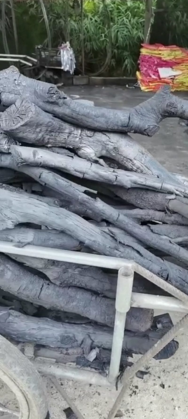 荔枝龙眼果木炭