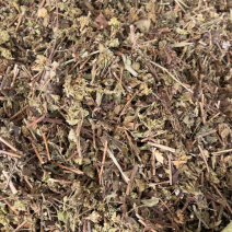 土茵陈牛至白花茵陈去根带根两种规格