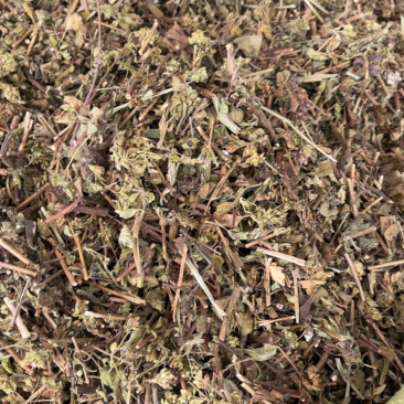 土茵陈牛至白花茵陈去根带根两种规格