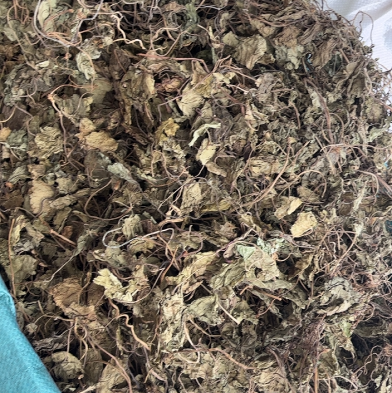 天葵青天葵大中叶两种规格，下单先选规格