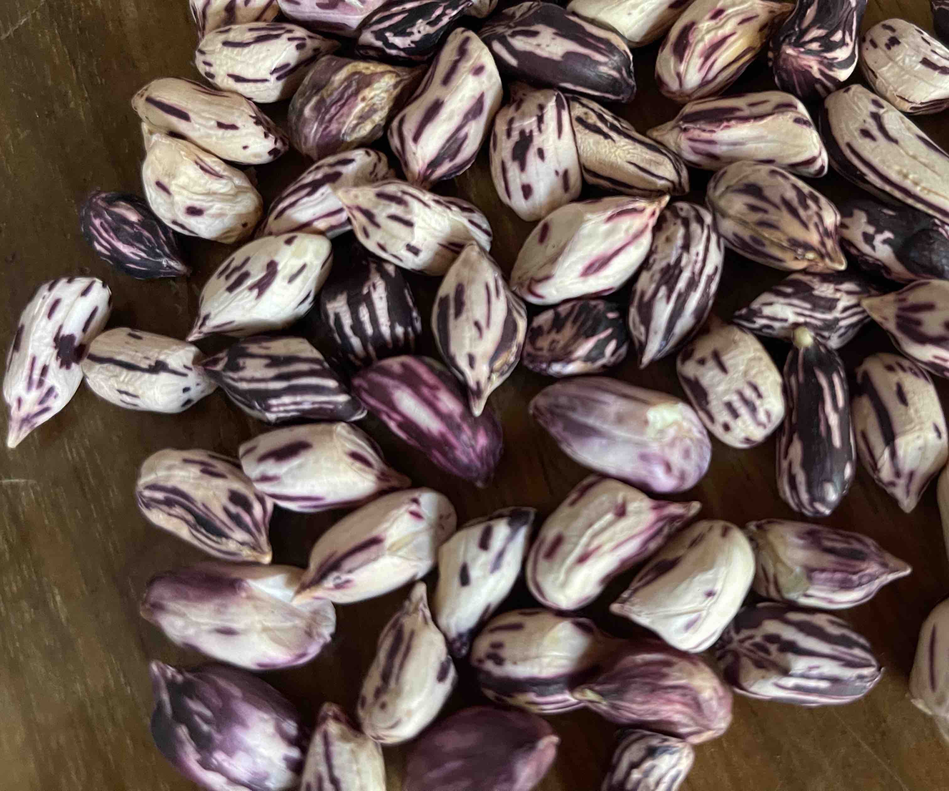 吃韭菜后排便颜色变化示意图