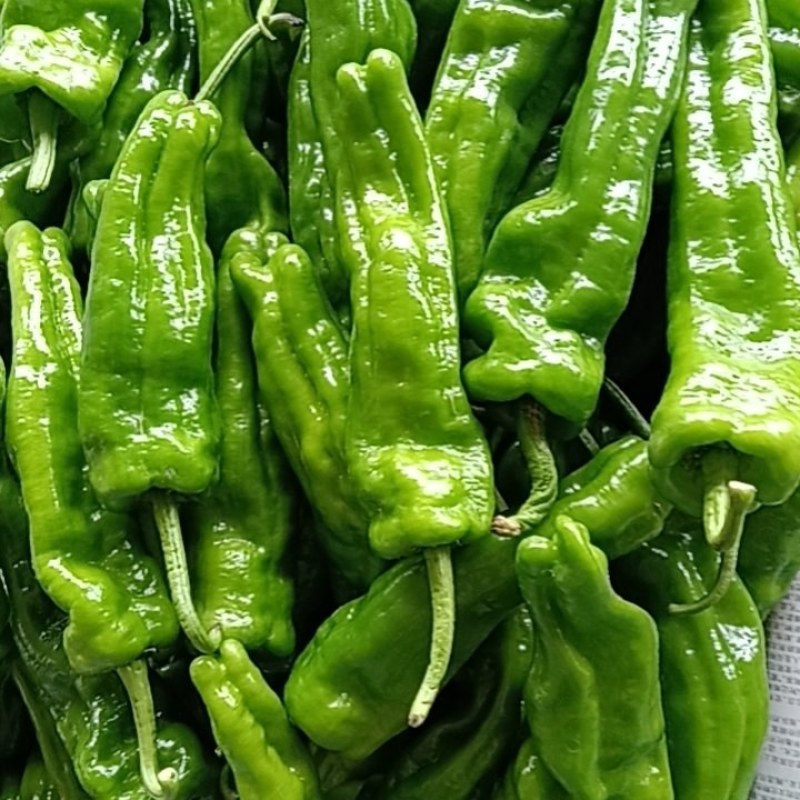 辣椒，皮薄肉多，一手货源，随到随装，欢迎光临，诚信经营
