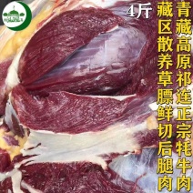 清真系列藏区散养草膘鲜牛肉祁连山正宗牛肉