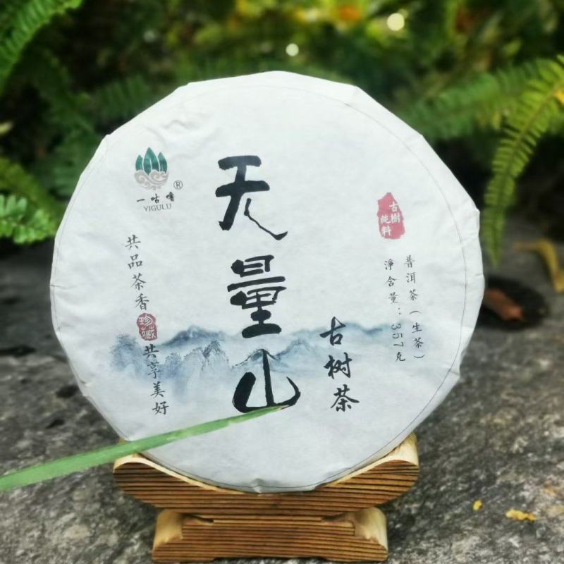 普洱茶