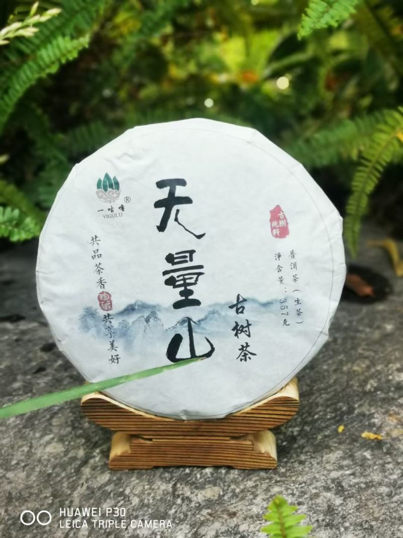 普洱茶