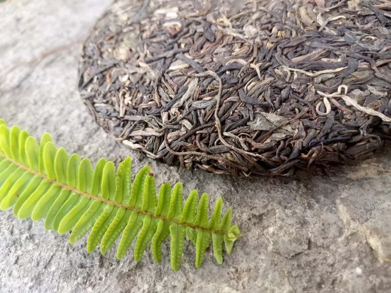 普洱茶