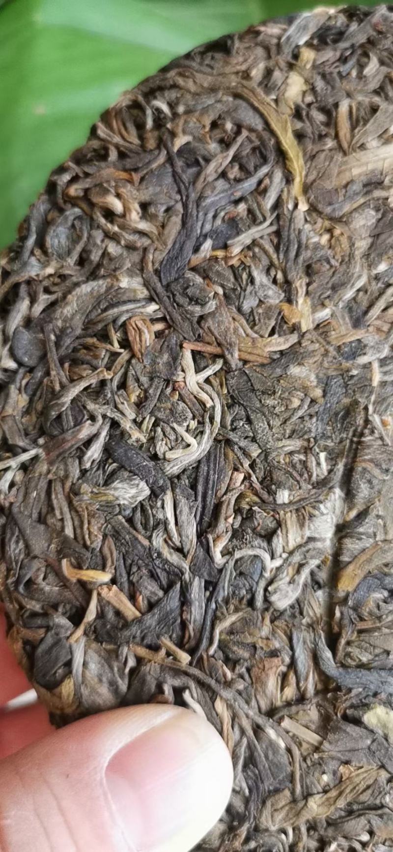 普洱茶