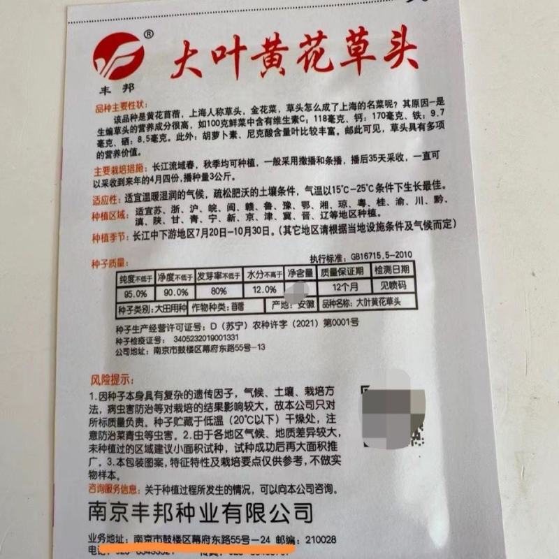 草头食用秧草金花菜种籽黄花草头三叶菜种子农家蔬菜野菜籽四
