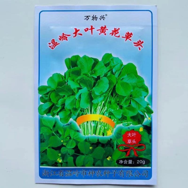 草头食用秧草金花菜种籽黄花草头三叶菜种子农家蔬菜野菜籽四