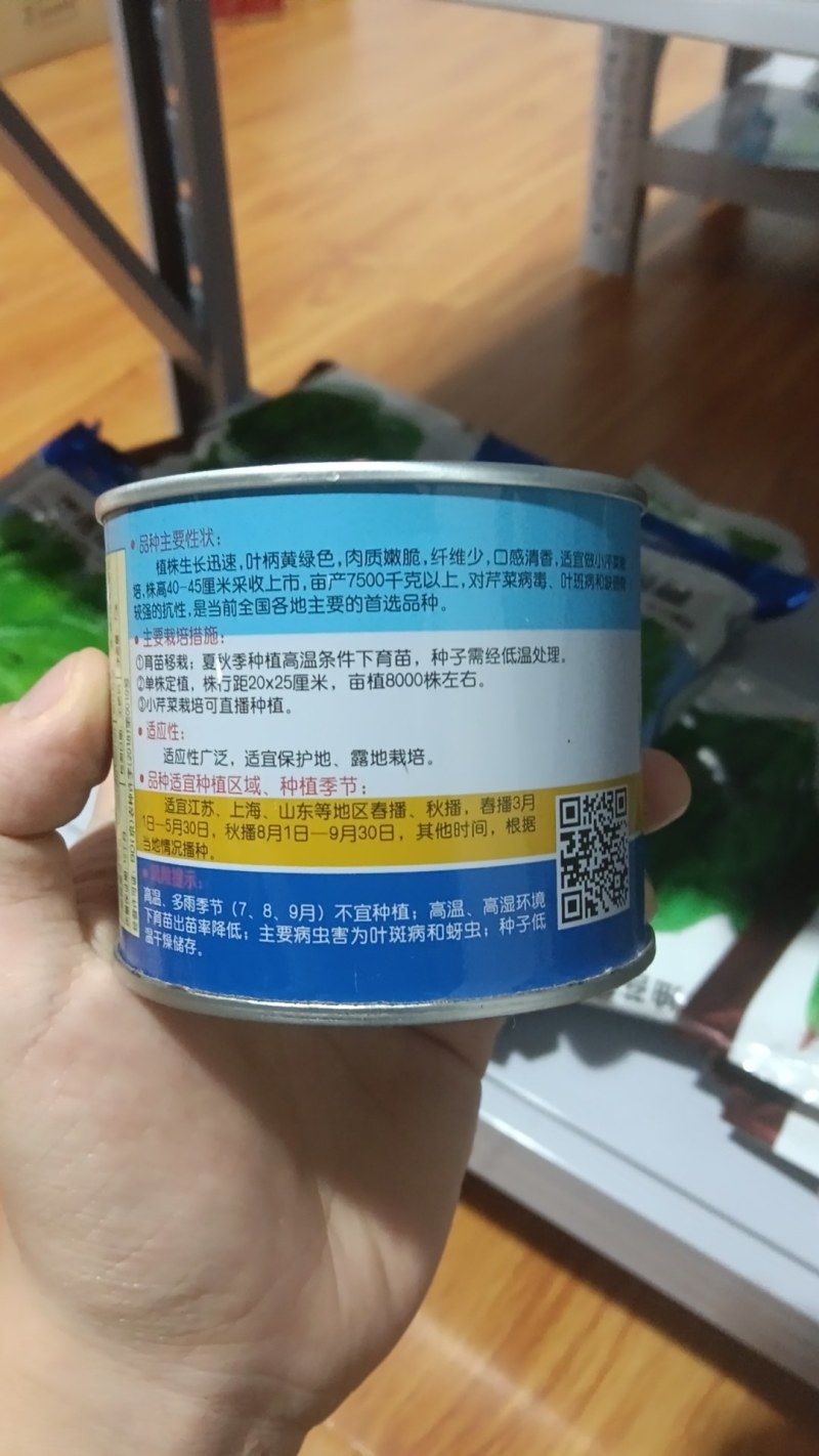 速生四季西芹王芹菜种子