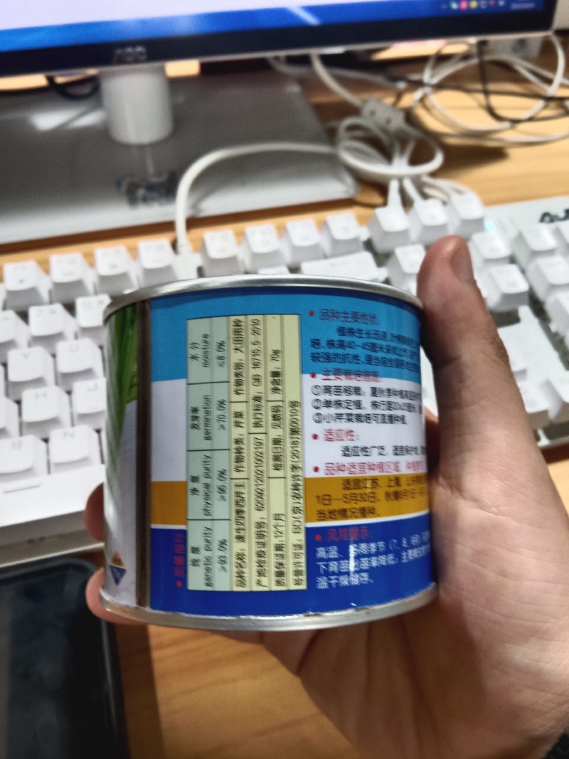 速生四季西芹王芹菜种子