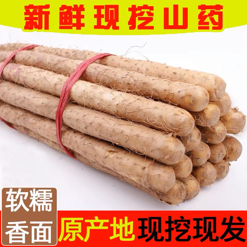 正宗小白嘴山药铁棍山药蔬菜新鲜铁杆淮麻山药批发新鲜疏菜