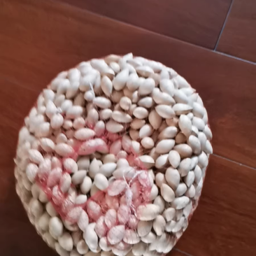 白果