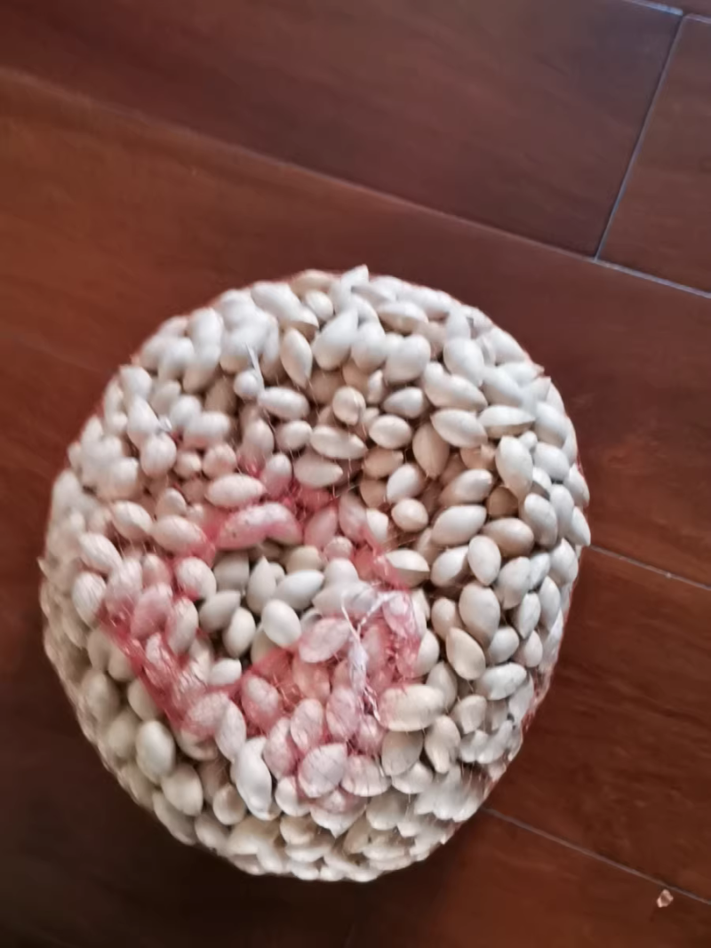 白果