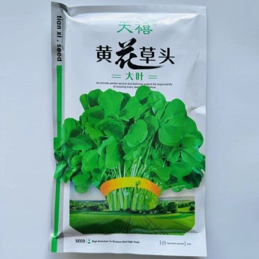 正宗原装大叶黄花草头种籽金花菜菜籽上海草头种子金花菜苜宿