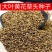 正宗原装大叶黄花草头种籽金花菜菜籽上海草头种子金花菜苜宿