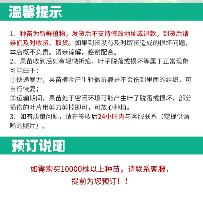 纯甜嫁接黄金百香果苗脱毒苗扦插苗嫁接苗带土杯基地发货