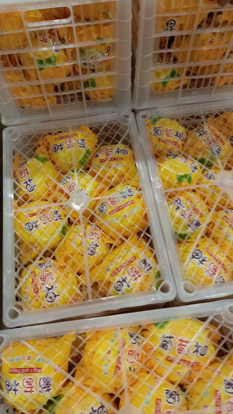葡萄柚爆汁，产地直发，一手货源源于福建平和坂仔柚都之乡