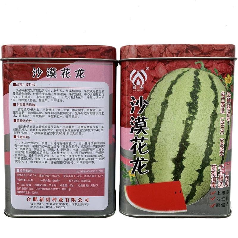 徽创沙漠花龙西瓜种子上市早抗病双红瓤耐贮运西瓜种籽大田用