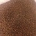 陕油19号油菜籽种子陕西油菜花种籽榨油香非转基因油菜种子