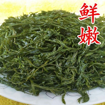 新鲜盐渍马尾藻鞭炮竹碱性海藻海草谷穗龙须菜菜酒店食材
