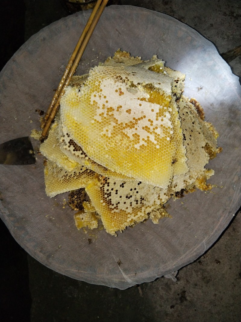 正宗土蜂蜜一年一次采取