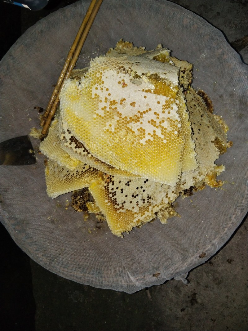 正宗土蜂蜜一年一次采取