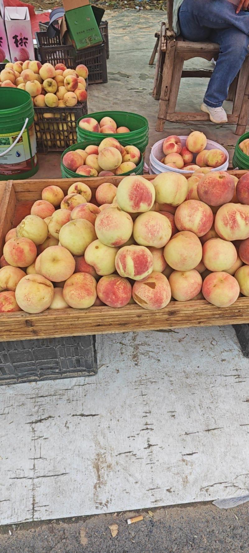 国庆红桃，水蜜桃，果个均匀，口感脆甜，货架期长耐储运