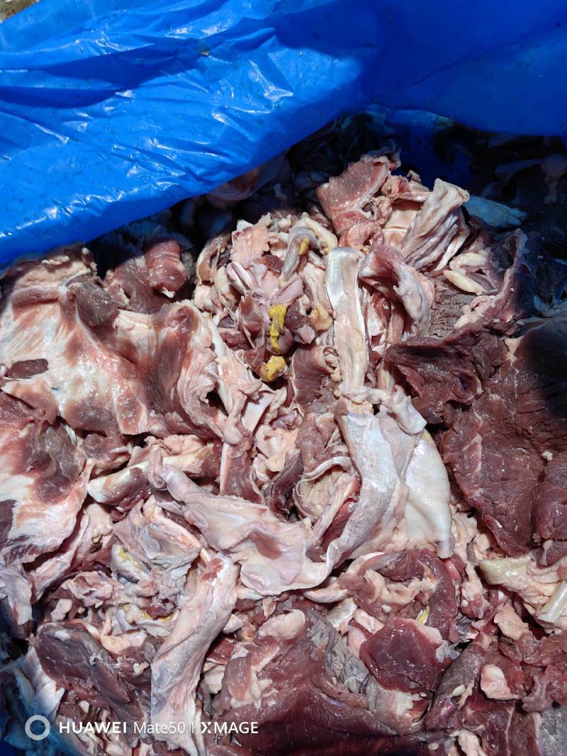 精修牛肉筋牛肉筋，质量稳定，无油无水，厂家货源常年有货