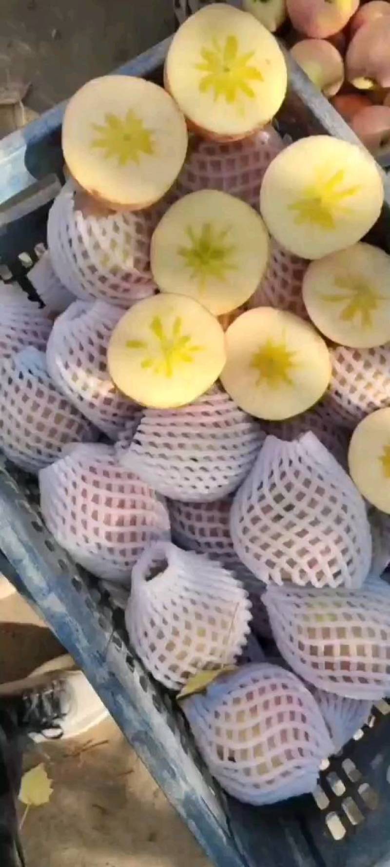 新疆阿克苏红旗波冰糖心平果