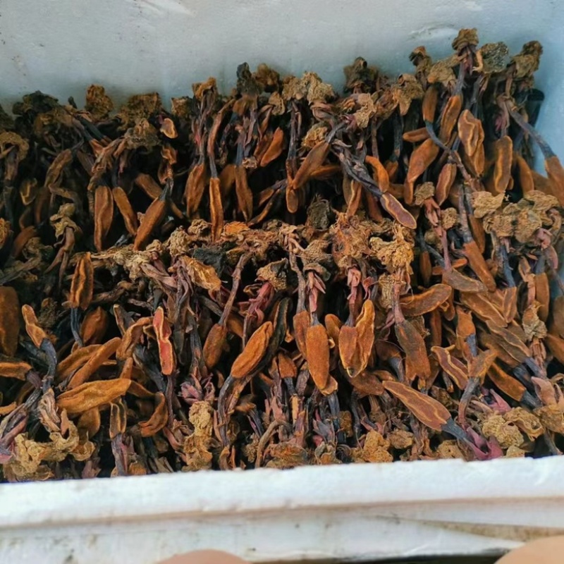 回春草干货颜色好量大议价一手货源基地直发