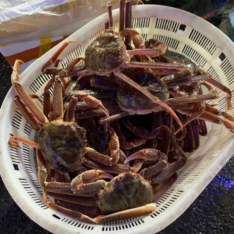 松叶蟹板蟹长腿蟹活冻高品质板蟹海洋蟹螃蟹长腿蟹