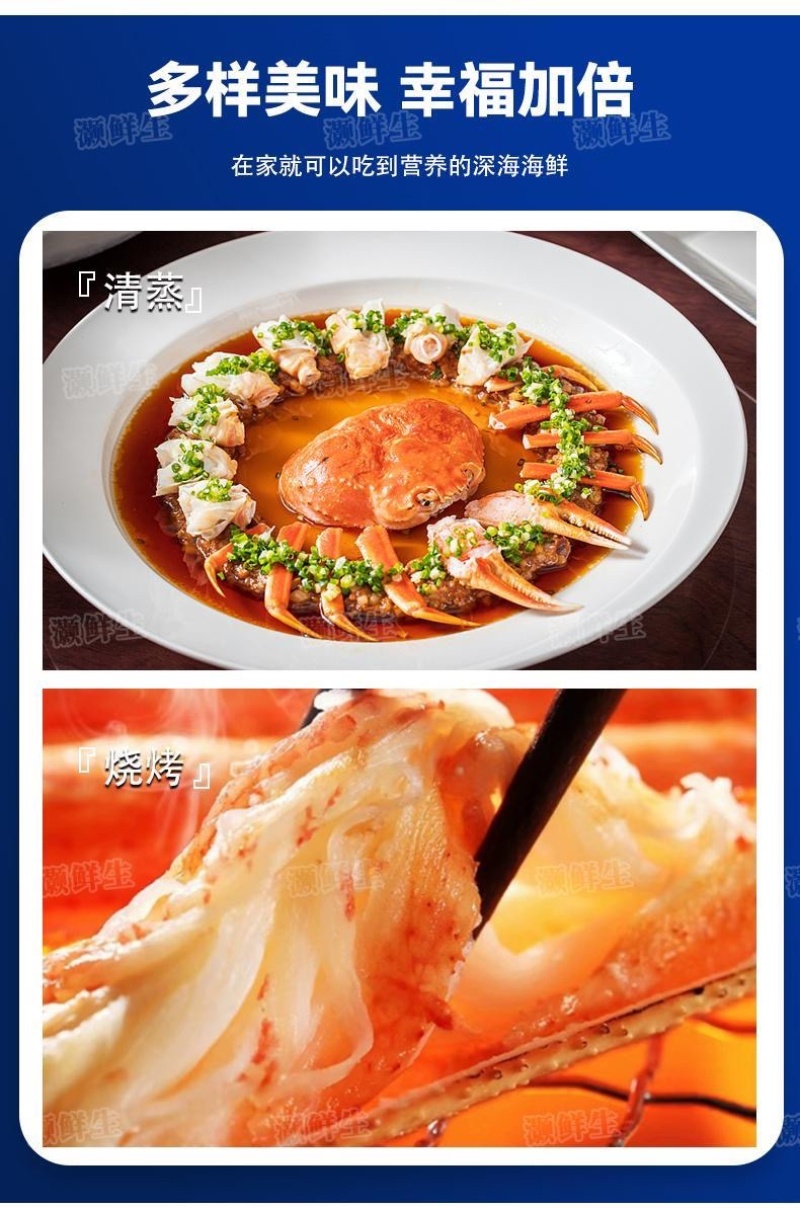 松叶蟹板蟹长腿蟹活冻高品质板蟹海洋蟹螃蟹长腿蟹