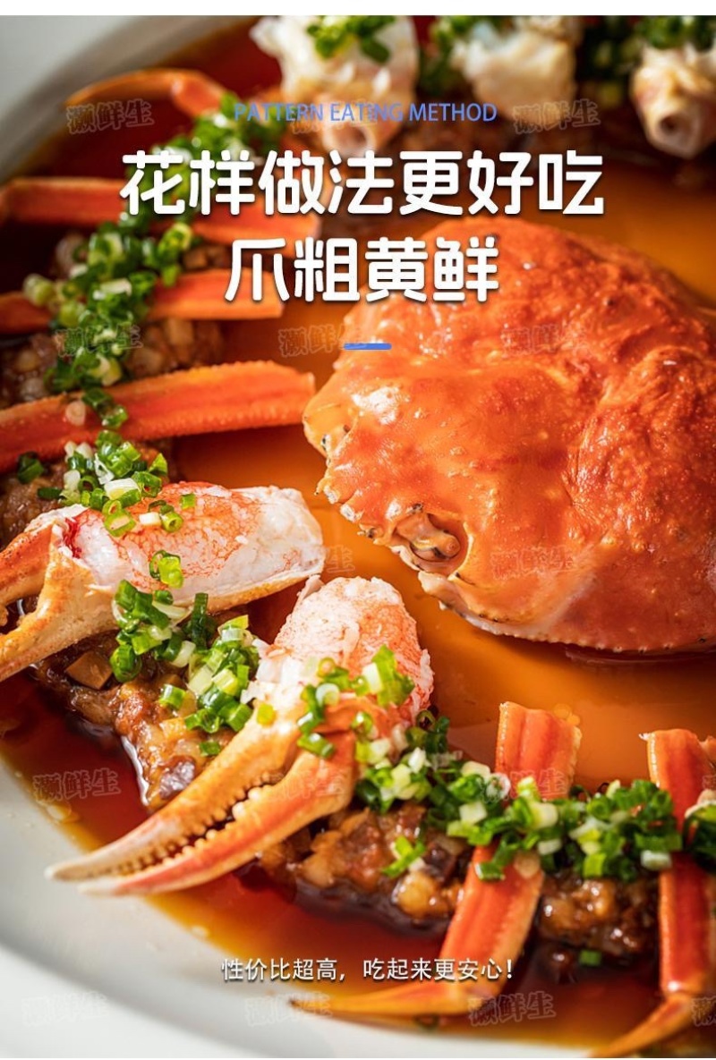 松叶蟹板蟹长腿蟹活冻高品质板蟹海洋蟹螃蟹长腿蟹