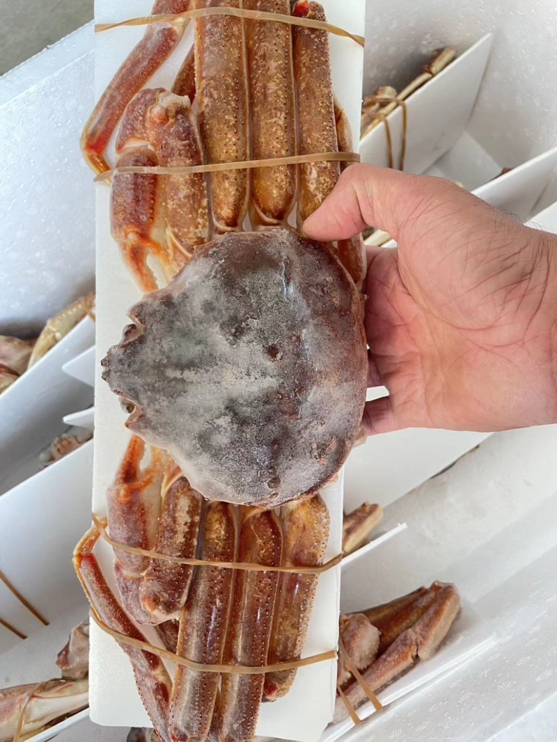 松叶蟹板蟹长腿蟹活冻高品质板蟹海洋蟹螃蟹长腿蟹