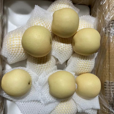 梨