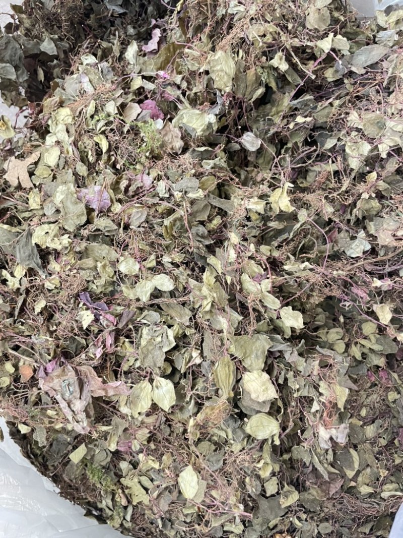 人工种植不了的一个产品。只有适合的环境才会生长