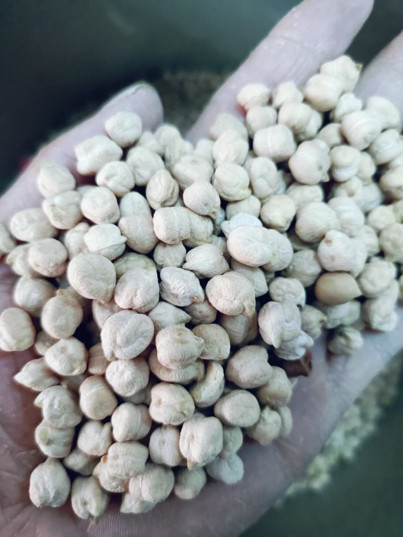 鹰嘴豆，天麻籽药食两用质量保证，量大从优咨询！
