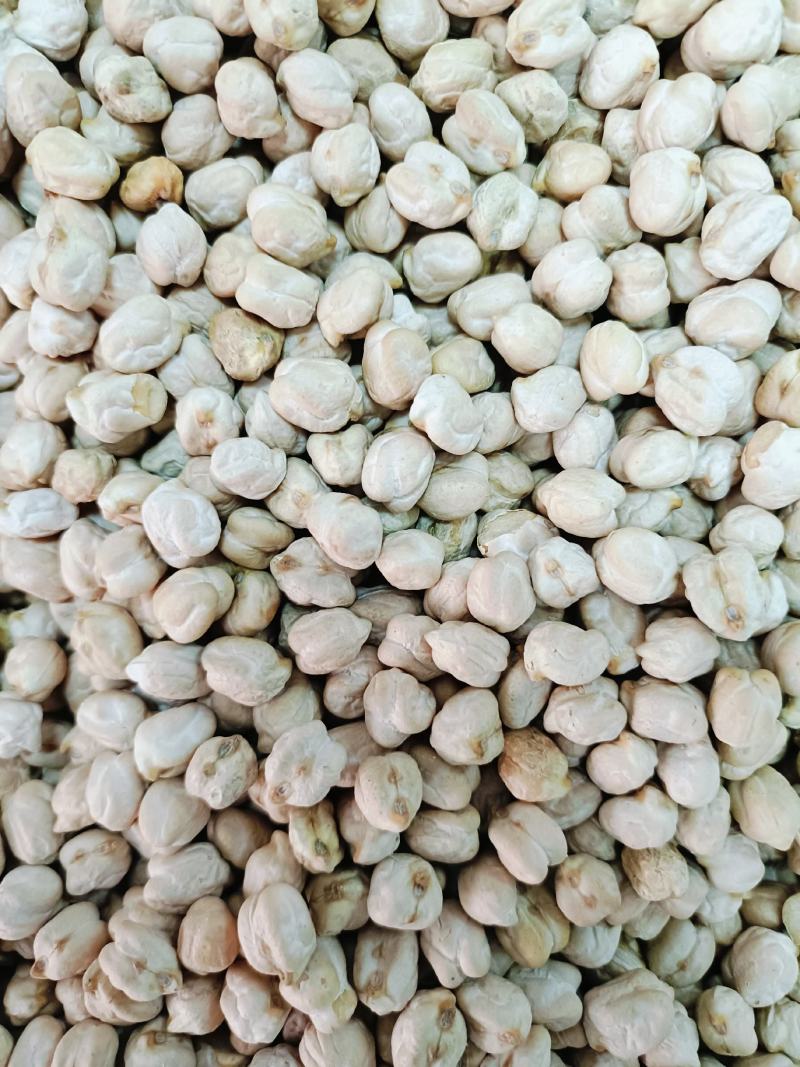 鹰嘴豆，天麻籽药食两用质量保证，量大从优咨询！