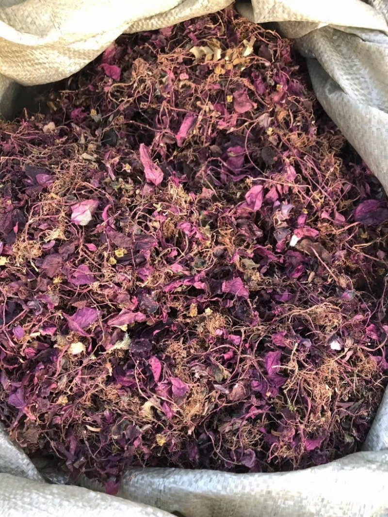 人工种植不了的一个产品。只有适合的环境才会生长