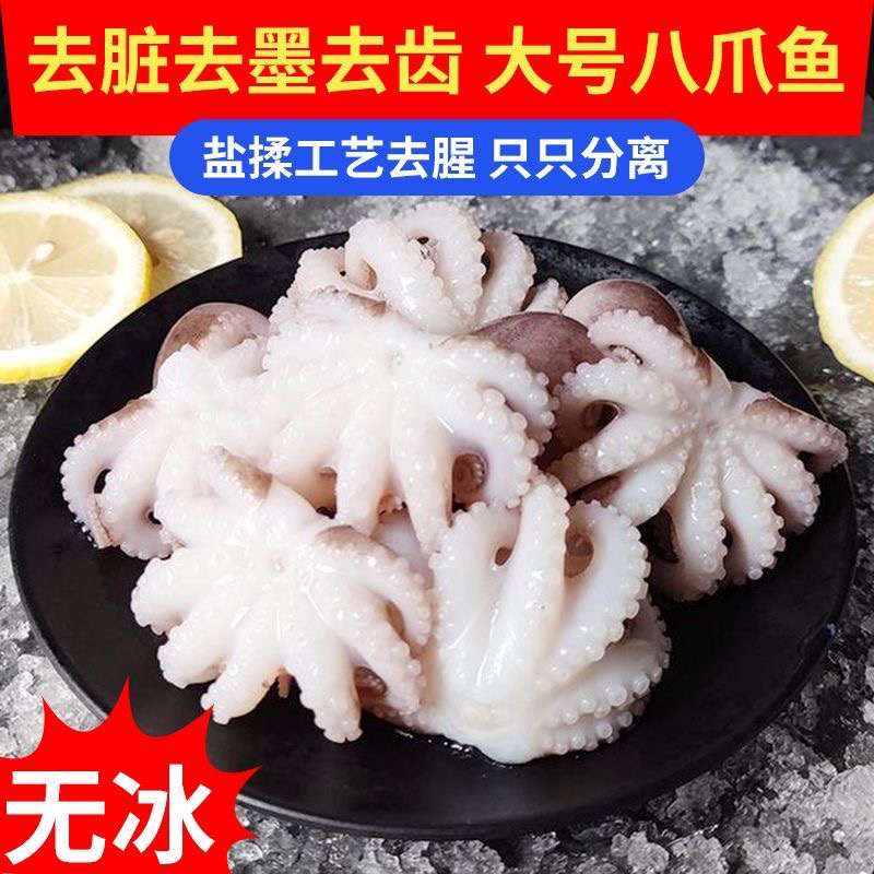 三去盐揉八爪鱼小章鱼新鲜海捕短腿迷你小章鱼