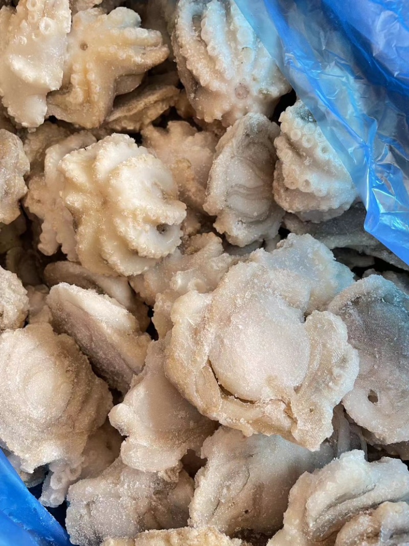 三去盐揉八爪鱼小章鱼新鲜海捕短腿迷你小章鱼